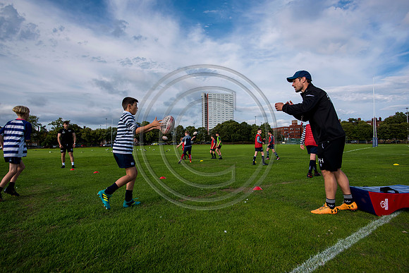 Apex Rugby Academy