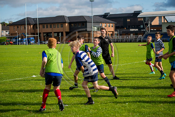 Apex Rugby Academy