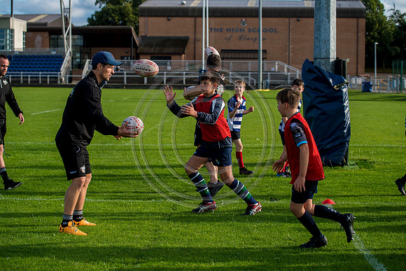Apex Rugby Academy