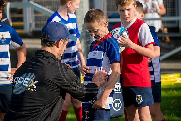 Apex Rugby Academy