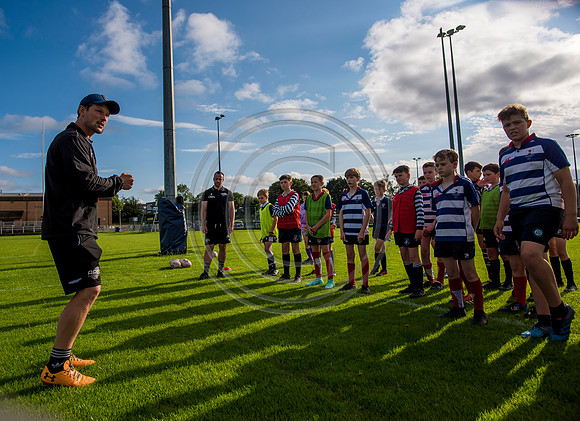 Apex Rugby Academy
