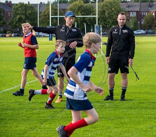 Apex Rugby Academy