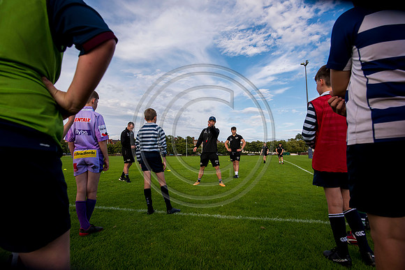 Apex Rugby Academy