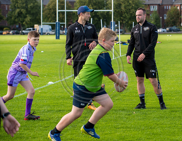 Apex Rugby Academy