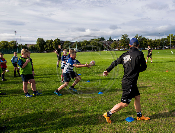 Apex Rugby Academy
