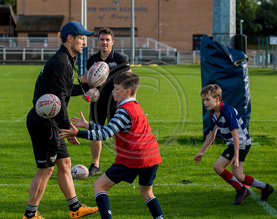 Apex Rugby Academy
