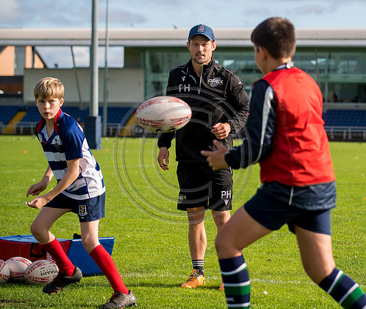 Apex Rugby Academy