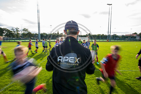 Apex Rugby Academy