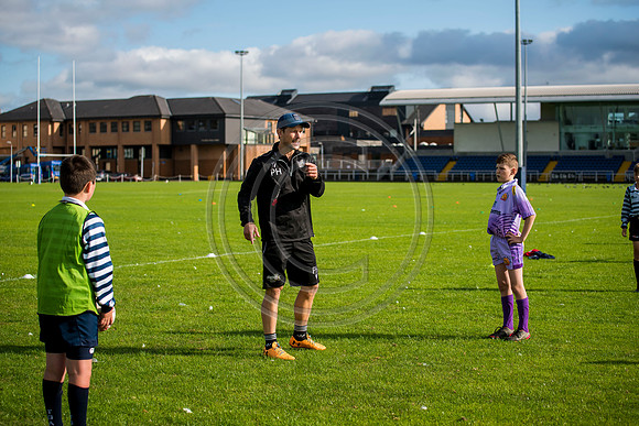 Apex Rugby Academy