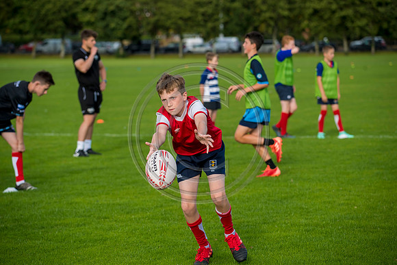 Apex Rugby Academy