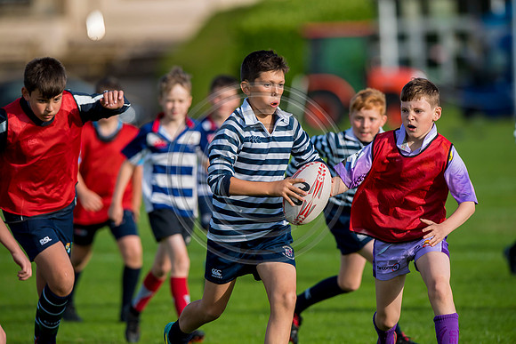 Apex Rugby Academy