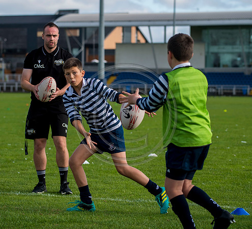 Apex Rugby Academy