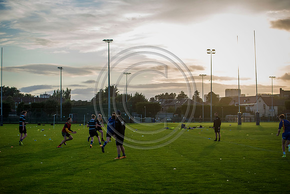 Apex Rugby Academy