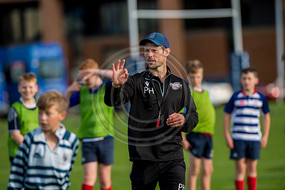 Apex Rugby Academy