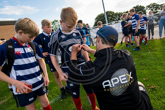 Apex Rugby Academy