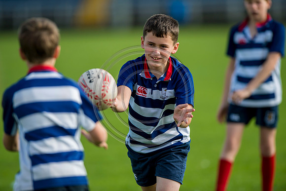 Apex Rugby Academy