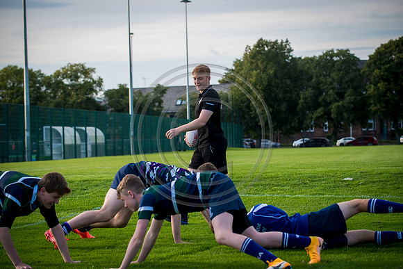 Apex Rugby Academy