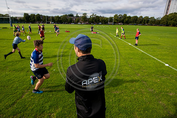 Apex Rugby Academy