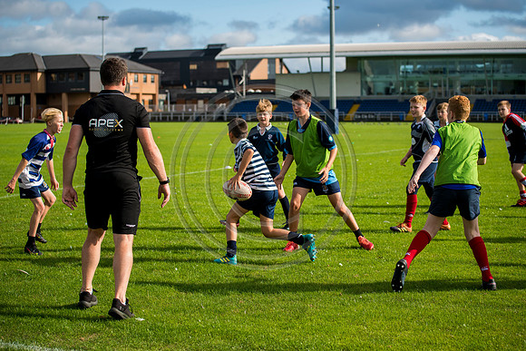 Apex Rugby Academy