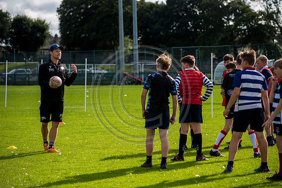 Apex Rugby Academy