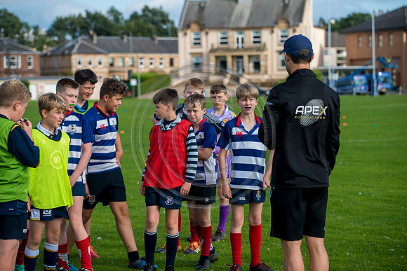 Apex Rugby Academy