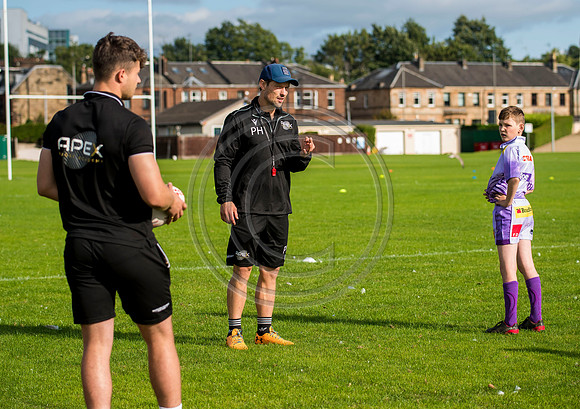 Apex Rugby Academy