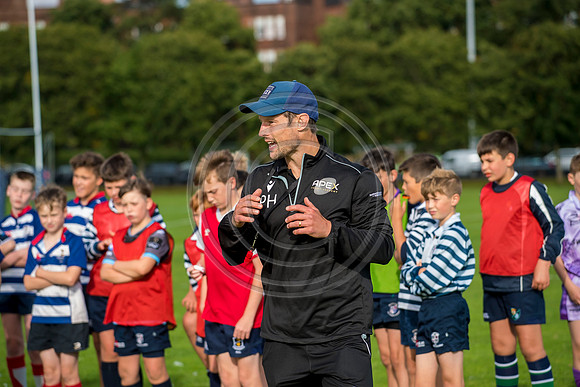 Apex Rugby Academy