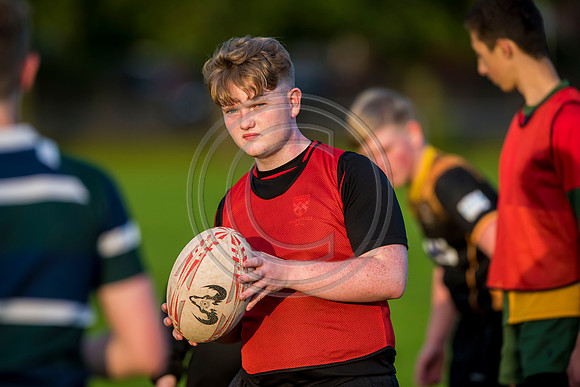 Apex Rugby Academy
