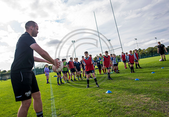 Apex Rugby Academy