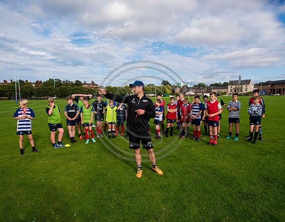 Apex Rugby Academy