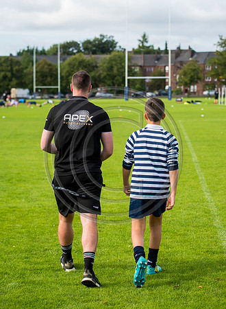 Apex Rugby Academy