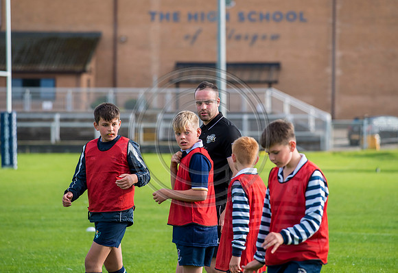 Apex Rugby Academy