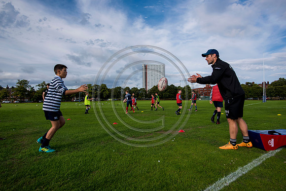 Apex Rugby Academy