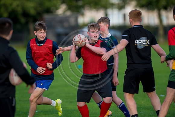 Apex Rugby Academy