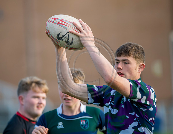 Apex Rugby Academy
