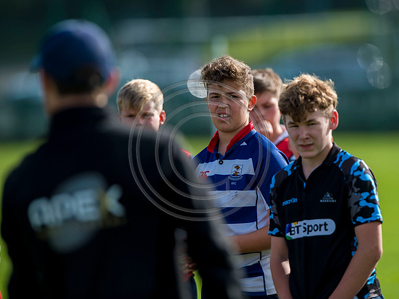 Apex Rugby Academy
