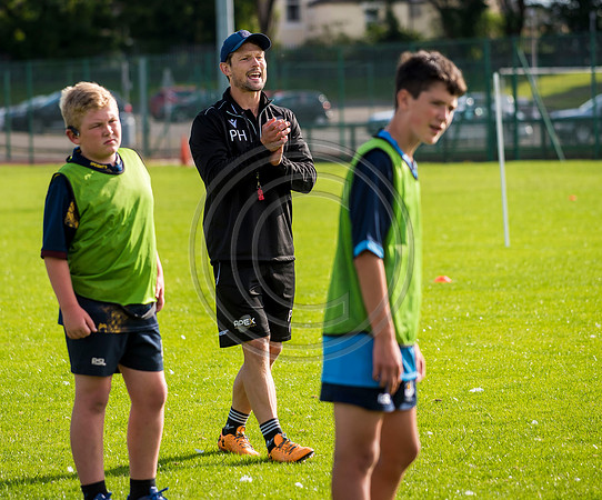 Apex Rugby Academy