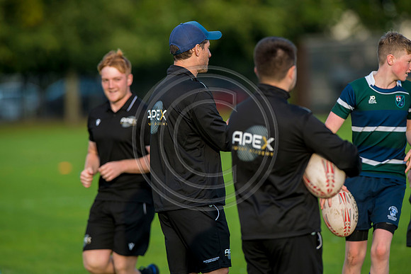 Apex Rugby Academy