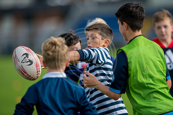 Apex Rugby Academy