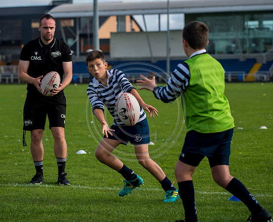 Apex Rugby Academy