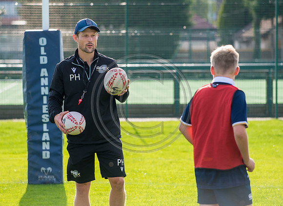 Apex Rugby Academy