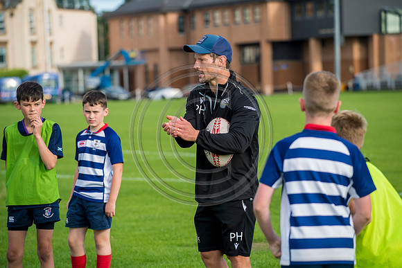 Apex Rugby Academy