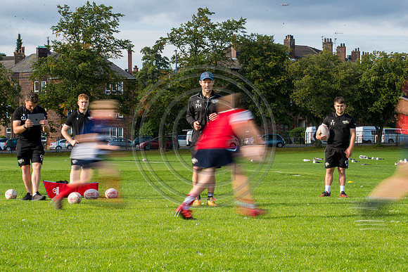 Apex Rugby Academy