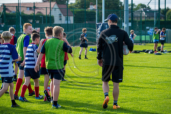 Apex Rugby Academy