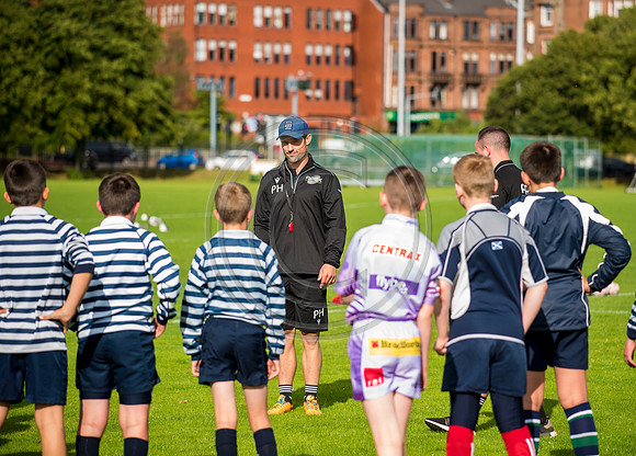 Apex Rugby Academy