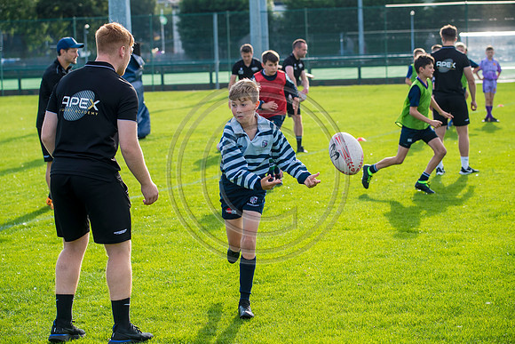 Apex Rugby Academy