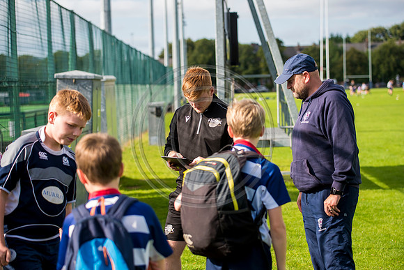 Apex Rugby Academy