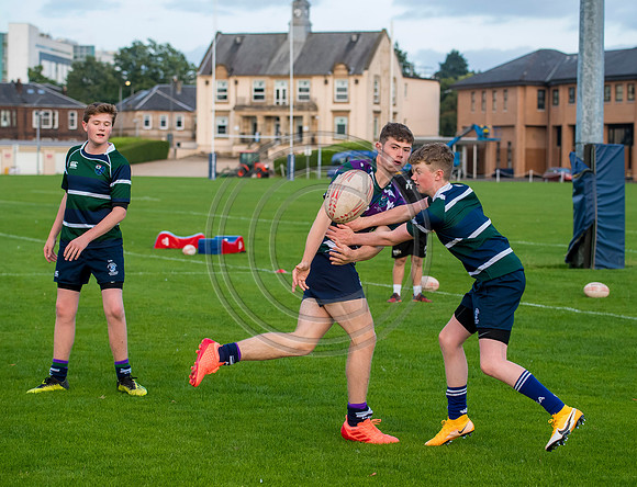 Apex Rugby Academy