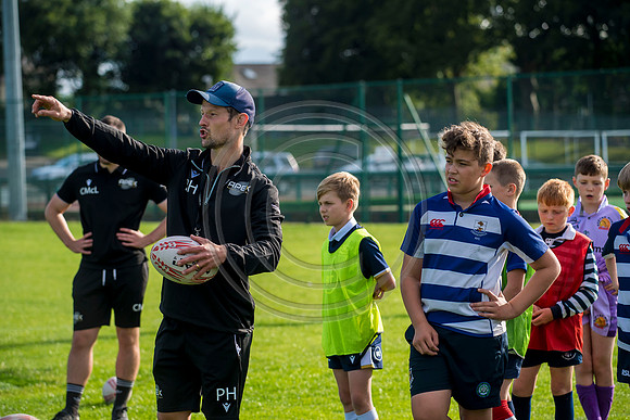 Apex Rugby Academy
