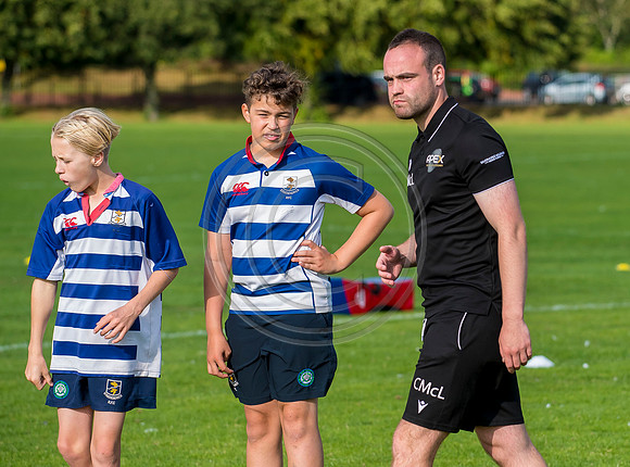 Apex Rugby Academy